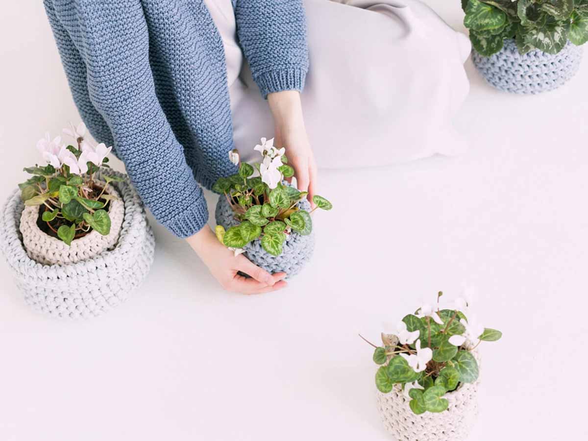 发现特立尼达和多巴哥的自然历史